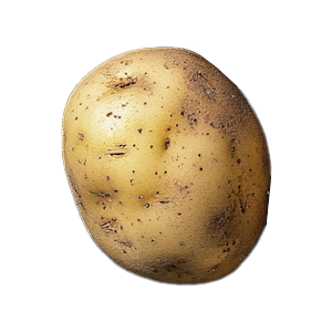 Orbit 2